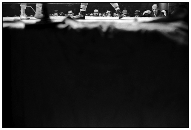 Ring Side by Roy DiTosti