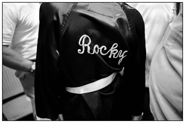 Rocky by Roy DiTosti